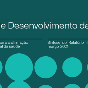 Plano de Desenvolvimento da Saúde