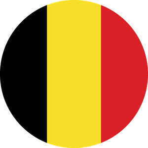 Projeto EDAH - Caso estudo Belga