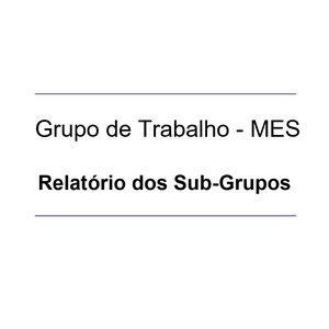 Relatório dos Sub-Grupos do GT-MES
