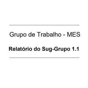Relatório do Sub-Grupo 1.1 do GT-MES